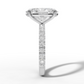 White Gold 5