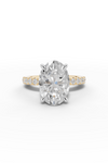 Yellow Gold 1