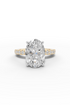 Yellow Gold 1